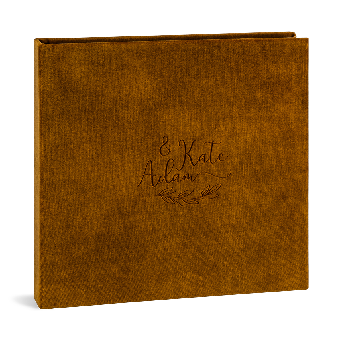 Collezione Celebrate modelli Celebrate